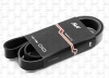 Ремень для Камаз Евро 8РК1575 (дв.Cummins) 6ISBe Евро-4 (S&K GMBH) (SK-7730029-01PL)