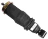 Пневмоподушка кабины (с одним выходом, в сборе) аналог SACHS 105831, VKNTTCH 1S1621, РО1 
